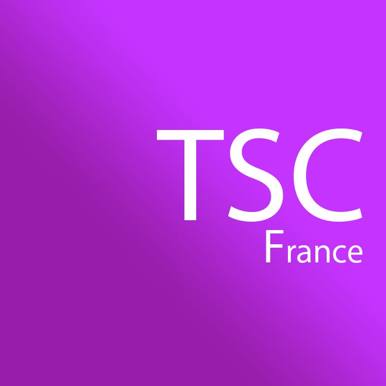 Logo TELECOMMUNICATION SERVICES COMPANY