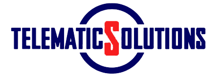 Logo TELEMATIC SOLUTIONS GUYANE