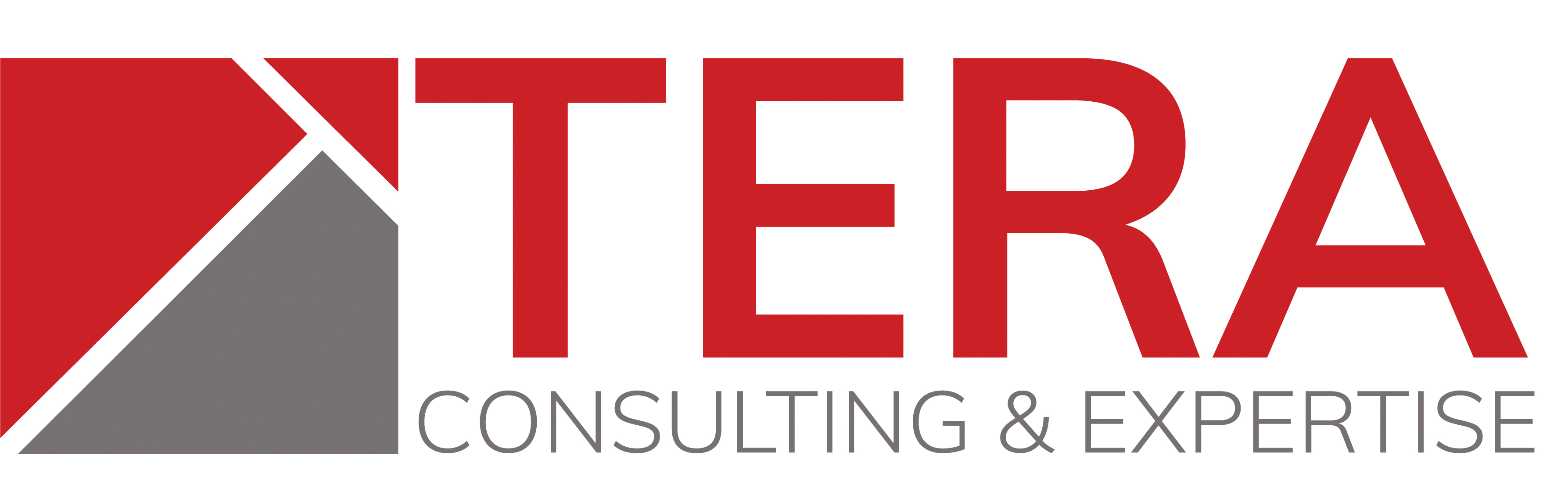 Logo TERA CONSULTANTS