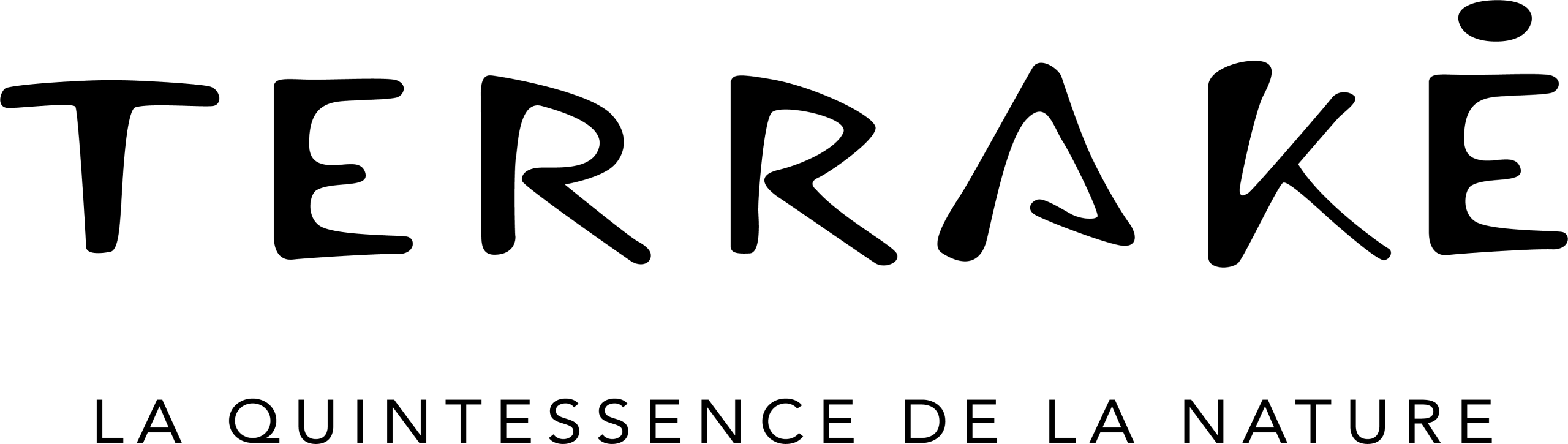 Logo TERRAKE FRANCE