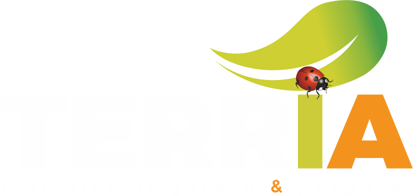 Logo TERRIA