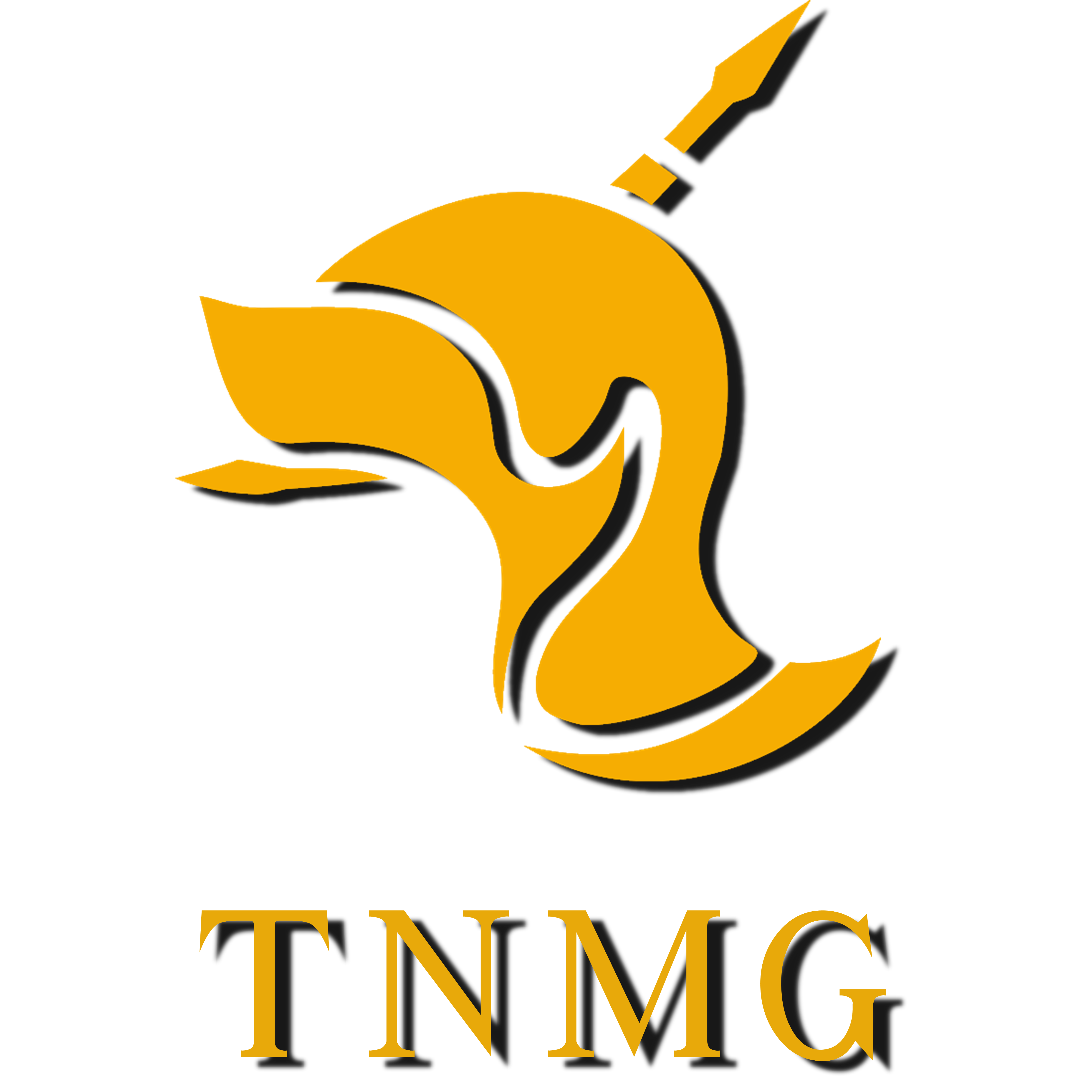 Logo TG GRISET