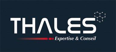 Logo THALES EXPERTISE & CONSEIL