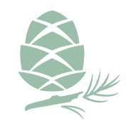 Logo THE ALPINE GENERATION LTD