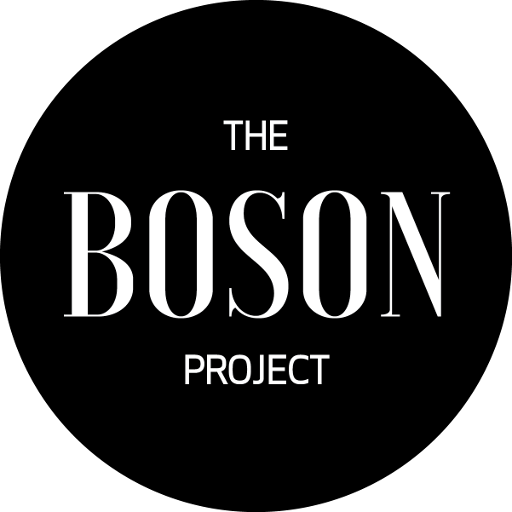 Logo THE BOSON PROJECT