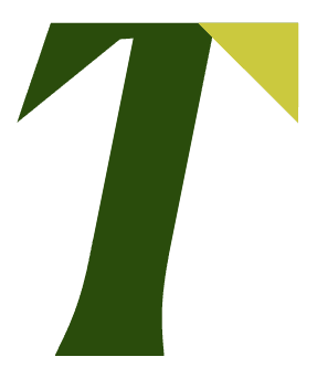 Logo THEOS (GROUPE THEOS)