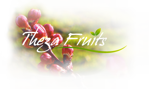 Logo THEZA FRUITS
