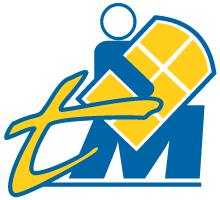Logo THIERRY MICHENEAU