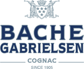 Logo Ths Bache Gabrielsen