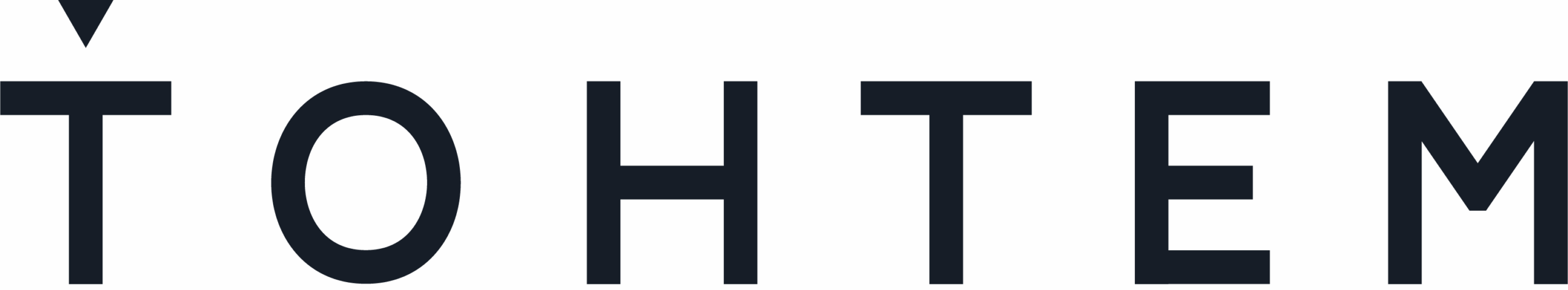 Logo TOHTEM