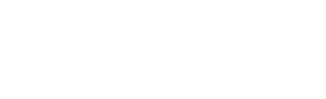Logo TOKIMO