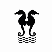 Logo TOURING (LE TOURING)