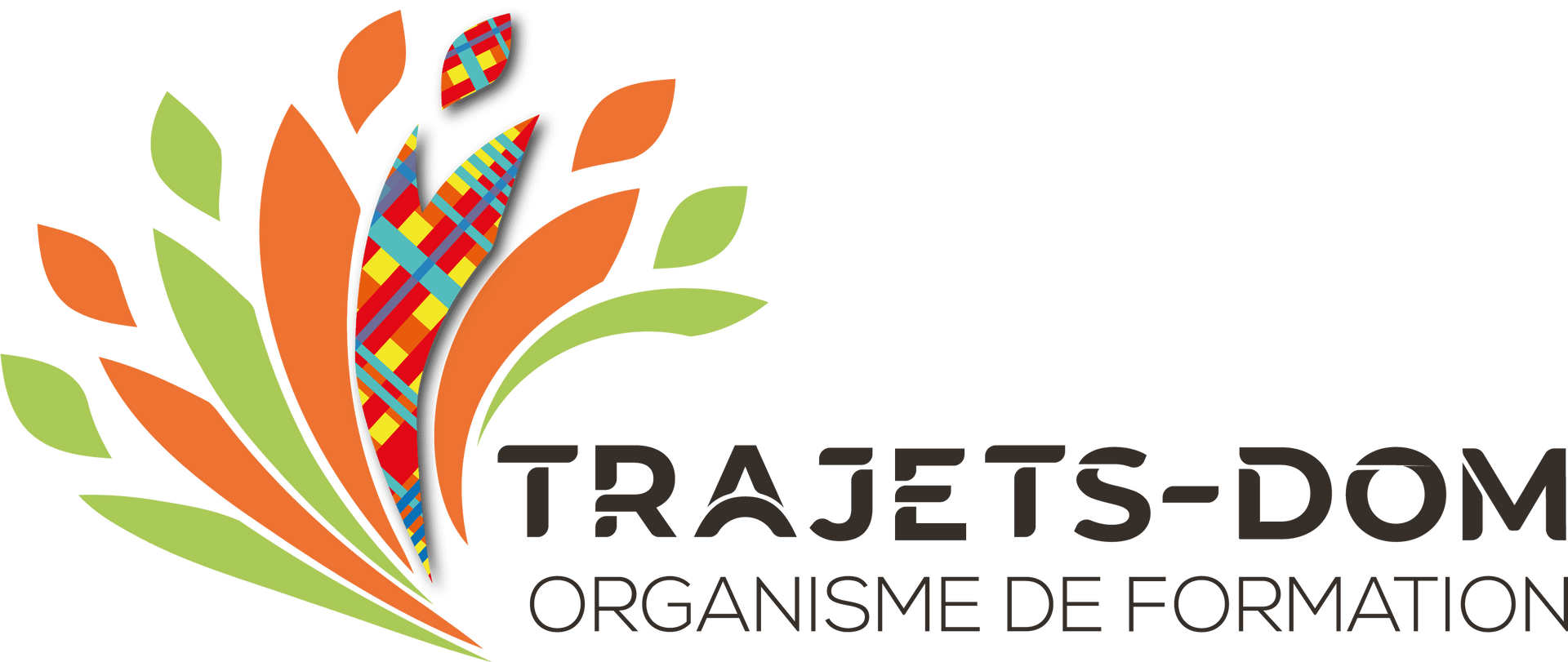 Logo TRAJETS - D.O.M.
