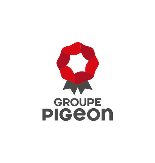 Logo TRANSCALI PIGEON
