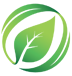 Logo TRANSPORT FORESTIER RATTIER