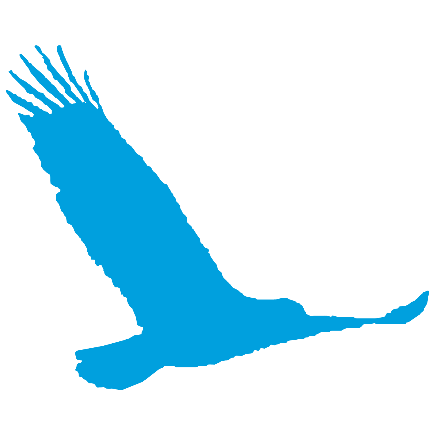 Logo TRANSPORT PHIL'EXPRESS