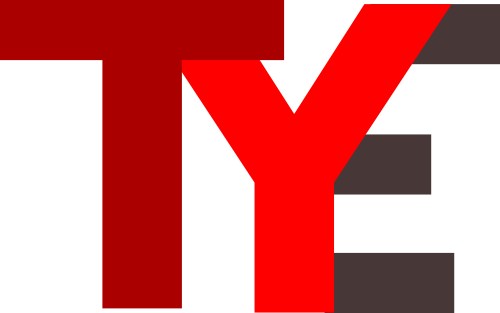 Logo TRANSPORT YONNE EXPRESS (T.Y.E.)