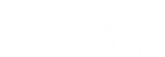 Logo TRANSPORTS MAILLARD
