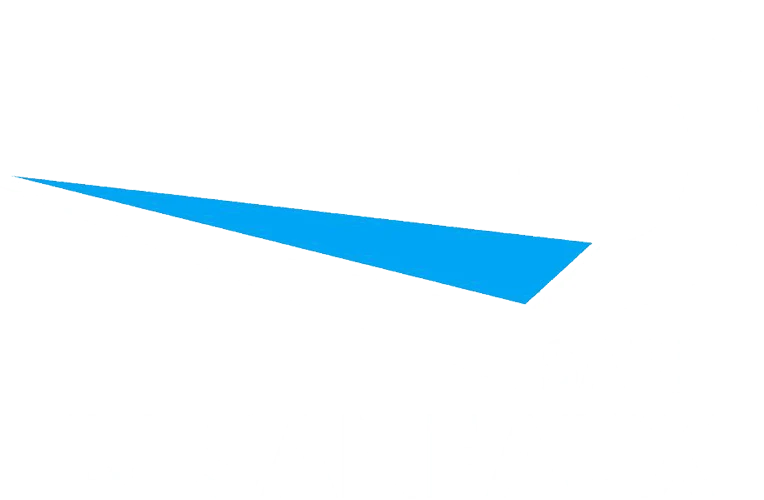 Logo TRANSPORTS PASCAL DESANEAUX