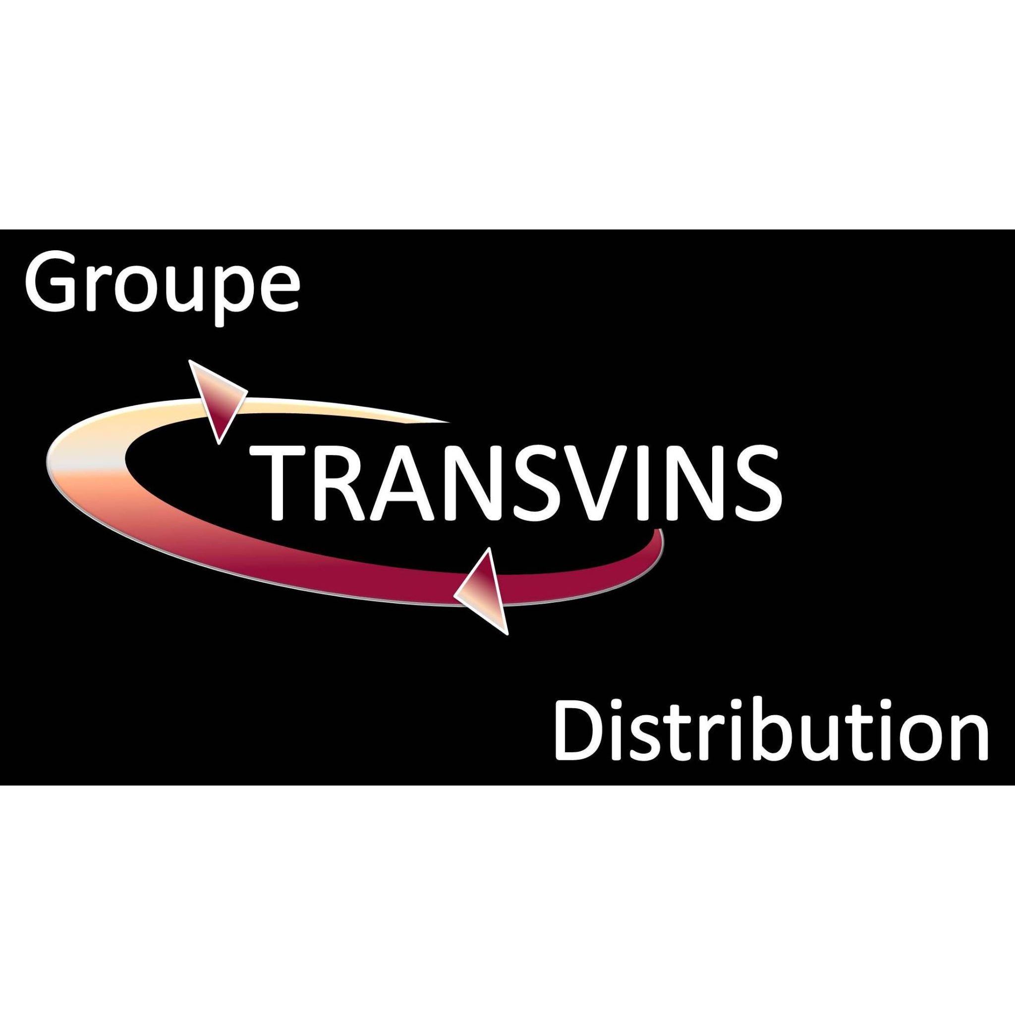 Logo TRANSVINS DISTRIBUTION