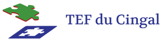 Logo TRAVAIL EMPLOI FORMATION DU CINGAL