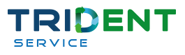 Logo TRIDENT SERVICE (TS)