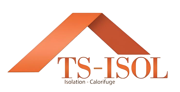 Logo TS-ISOL (TSI)