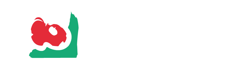 Logo UDA LEKU