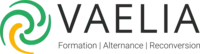 Logo VAELIA