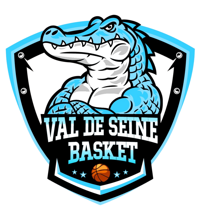 Logo VAL DE SEINE BASKET