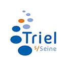 Logo VAL DE SEINE DOM'SERVICES
