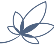 Logo VAL SOLUTIONS