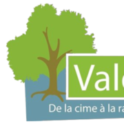 Logo VALDEFIS