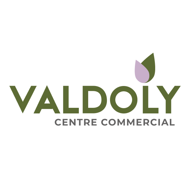 Logo VALDOLY FLEURS (VALDOLY FLEURS)