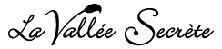 Logo VALLEE SAS