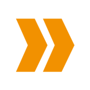 Logo VERING