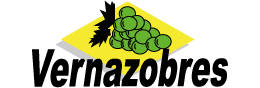 Logo VERNAZOBRES FRERES