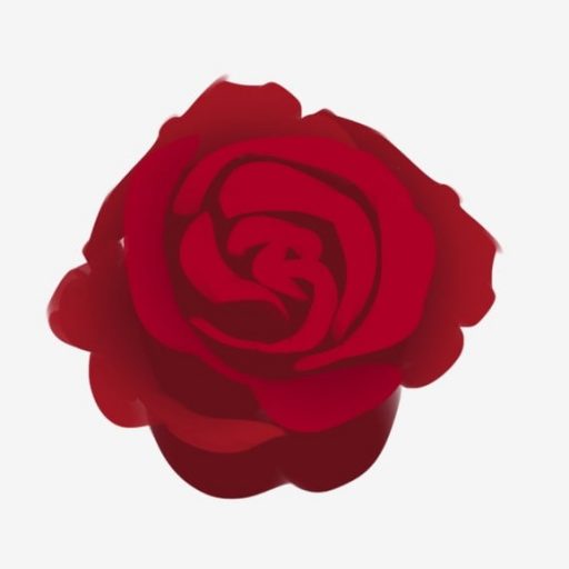 Logo VERONIQUE FLEURS