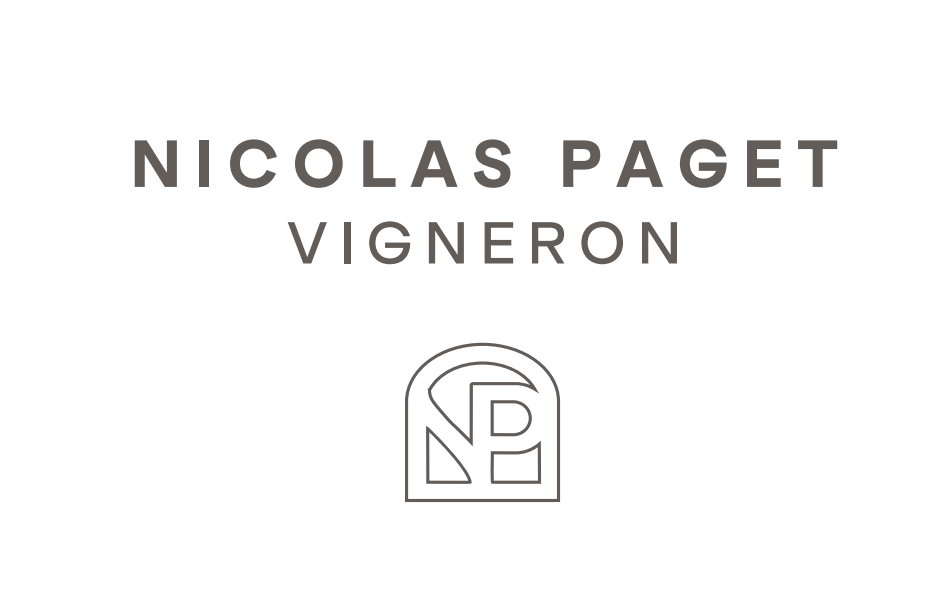 Logo VERSION VIN (VISTAVIN - JOSEPH PAGET SELECTION)