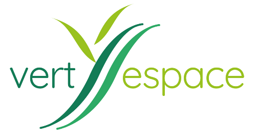 Logo VERT ESPACE