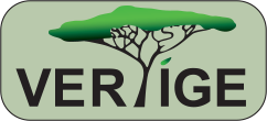 Logo VERTIGE