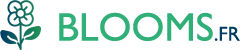 Logo VERY BLOOM PRODUCTION