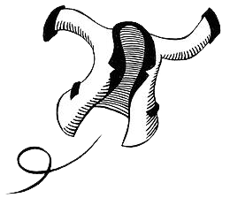 Logo VESTON LEGER
