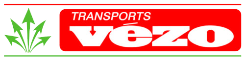 Logo VEZO SERVICES