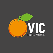 Logo VICFRUIT