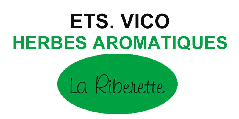 Logo VICO SANTIAGO
