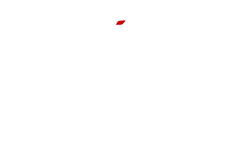 Logo VIGI PRESTANCE SECURITE