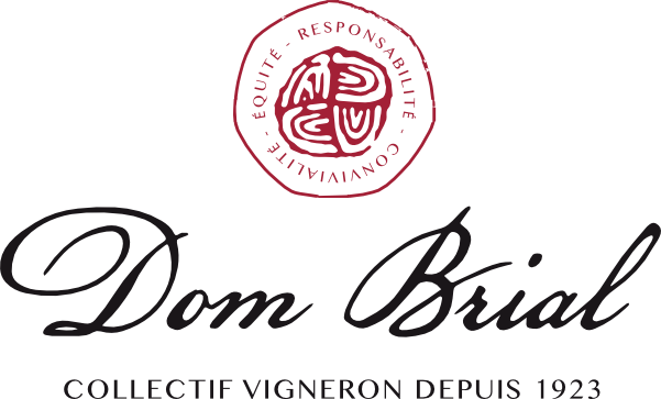 Logo VIGNOBLES DOM BRIAL