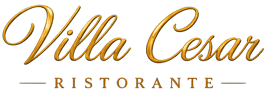 Logo VILLA CESAR