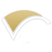 Logo VIPALUX (VX)